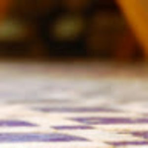 Meet your Posher, Ted